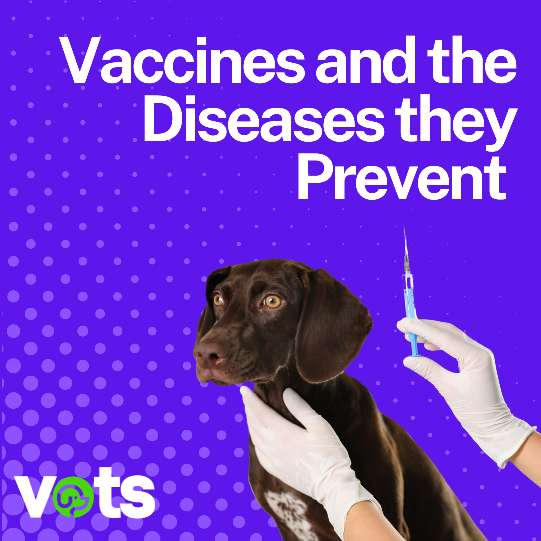 Vaccines and the Diseases they Prevent
